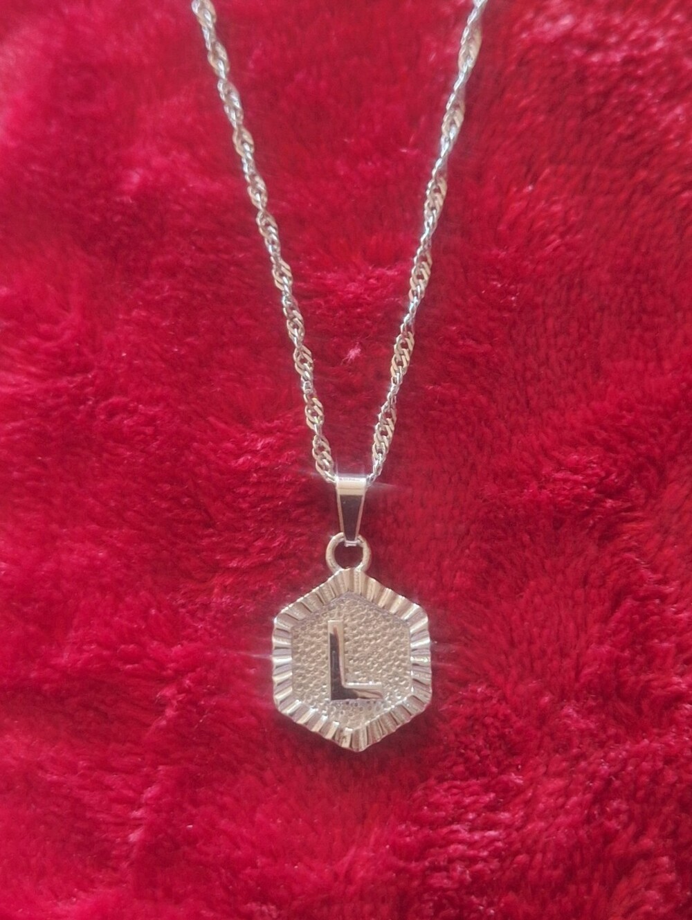 Oak & Ivy Boutique Stainless Silver Tone L Initial Adjustable Necklace NWOT